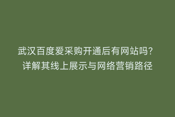 武汉百度爱采购开通后有网站吗？详解其线上展示与网络营销路径