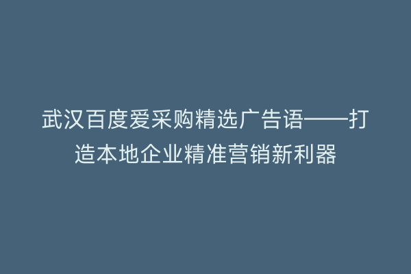 武汉百度爱采购精选广告语——打造本地企业精准营销新利器