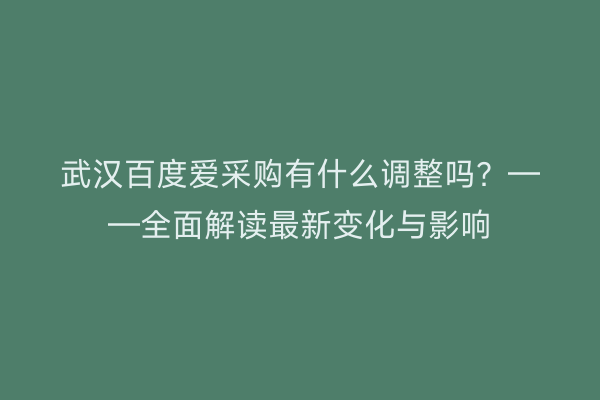 武汉百度爱采购有什么调整吗？——全面解读最新变化与影响