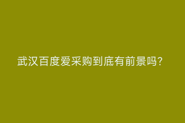 武汉百度爱采购到底有前景吗？