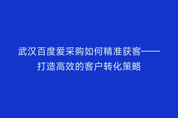 武汉百度爱采购如何精准获客——打造高效的客户转化策略