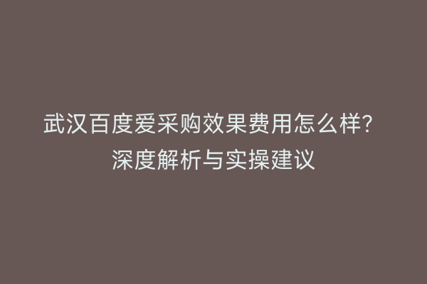 武汉百度爱采购效果费用怎么样？深度解析与实操建议
