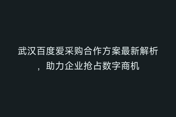 武汉百度爱采购合作方案最新解析，助力企业抢占数字商机