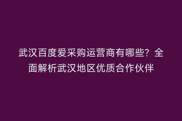 武汉百度爱采购运营商有哪些？全面解析武汉地区优质合作伙伴
