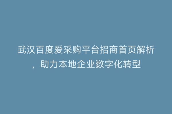 武汉百度爱采购平台招商首页解析，助力本地企业数字化转型