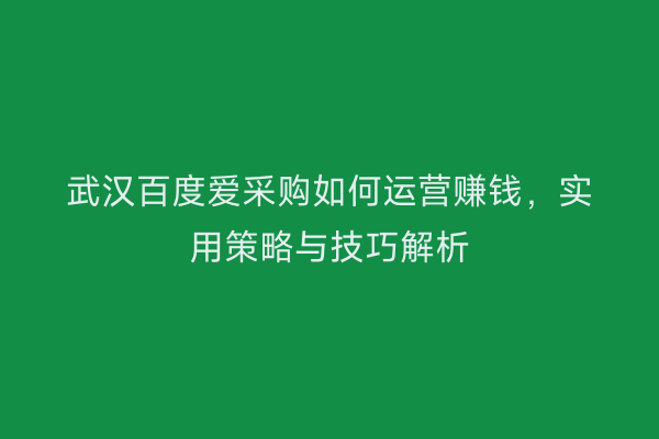 武汉百度爱采购如何运营赚钱，实用策略与技巧解析
