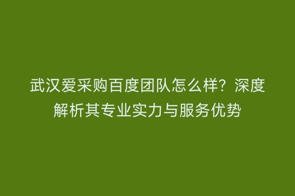 武汉爱采购百度团队怎么样？深度解析其专业实力与服务优势