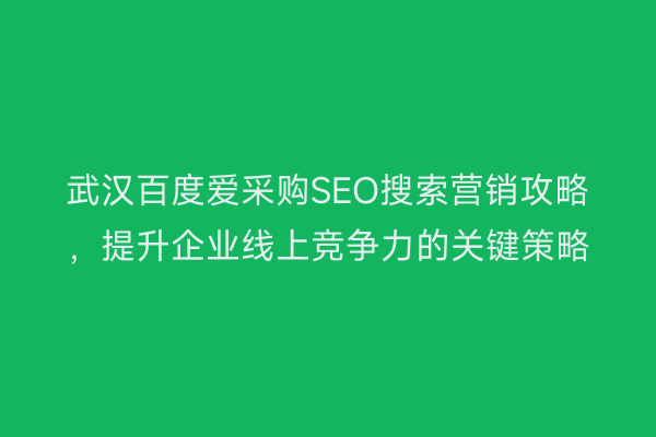 武汉百度爱采购SEO搜索营销攻略，提升企业线上竞争力的关键策略