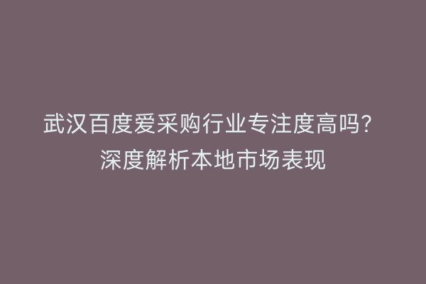武汉百度爱采购行业专注度高吗？深度解析本地市场表现