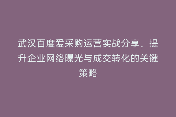武汉百度爱采购运营实战分享，提升企业网络曝光与成交转化的关键策略