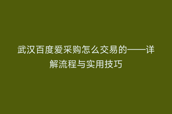 武汉百度爱采购怎么交易的——详解流程与实用技巧