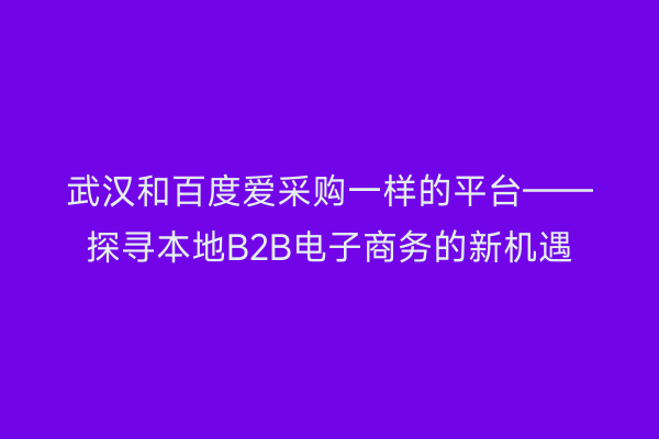 武汉和百度爱采购一样的平台——探寻本地B2B电子商务的新机遇