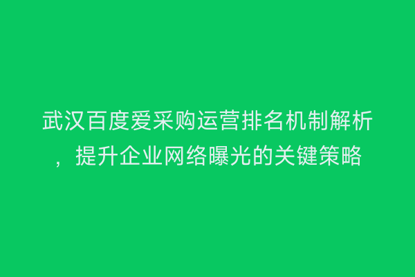 武汉百度爱采购运营排名机制解析，提升企业网络曝光的关键策略