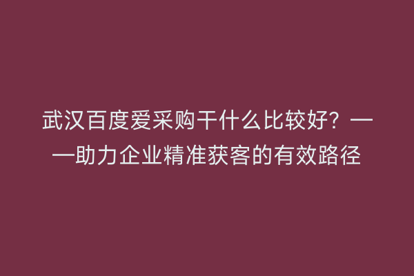 武汉百度爱采购干什么比较好？——助力企业精准获客的有效路径