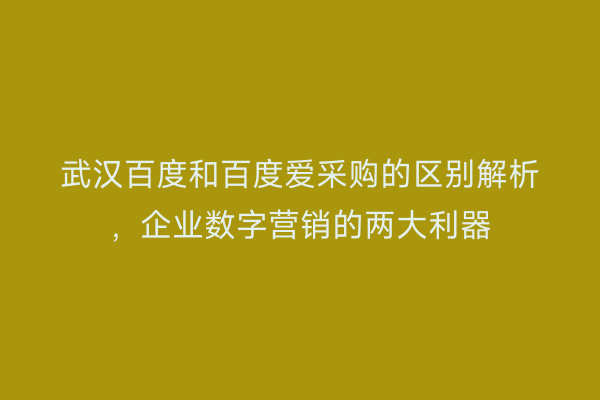 武汉百度和百度爱采购的区别解析，企业数字营销的两大利器