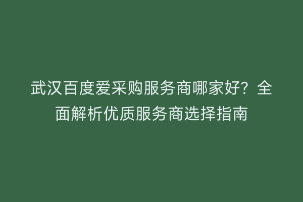 武汉百度爱采购服务商哪家好？全面解析优质服务商选择指南