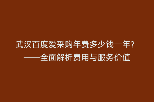 武汉百度爱采购年费多少钱一年？——全面解析费用与服务价值