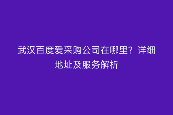 武汉百度爱采购公司在哪里？详细地址及服务解析