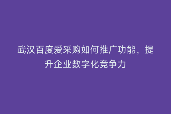 武汉百度爱采购如何推广功能，提升企业数字化竞争力