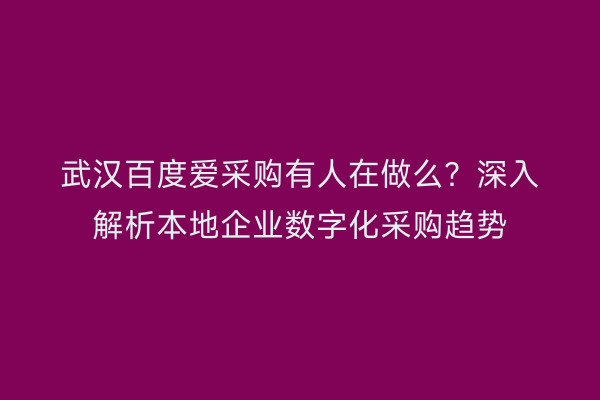 武汉百度爱采购有人在做么？深入解析本地企业数字化采购趋势