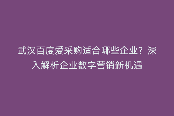 武汉百度爱采购适合哪些企业？深入解析企业数字营销新机遇