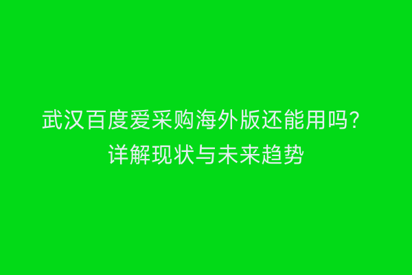 武汉百度爱采购海外版还能用吗？详解现状与未来趋势