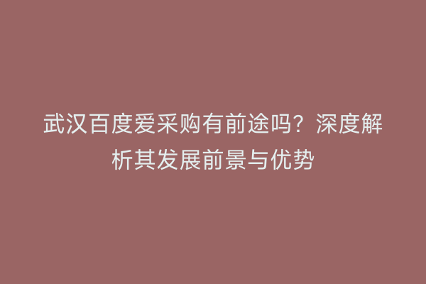 武汉百度爱采购有前途吗？深度解析其发展前景与优势
