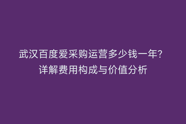 武汉百度爱采购运营多少钱一年？详解费用构成与价值分析