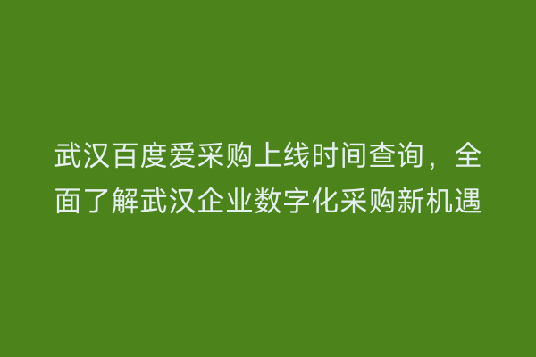 武汉百度爱采购上线时间查询，全面了解武汉企业数字化采购新机遇
