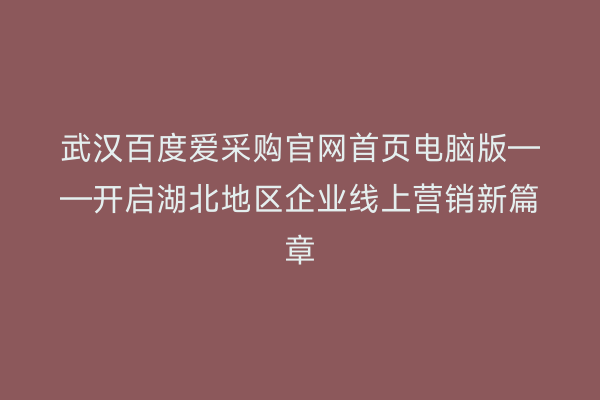 武汉百度爱采购官网首页电脑版——开启湖北地区企业线上营销新篇章