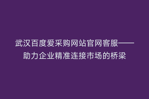武汉百度爱采购网站官网客服——助力企业精准连接市场的桥梁