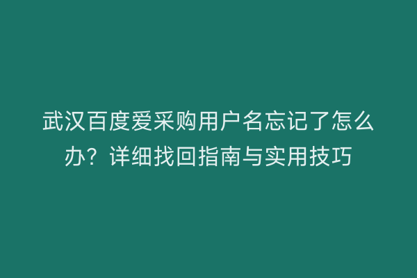 武汉百度爱采购用户名忘记了怎么办？详细找回指南与实用技巧