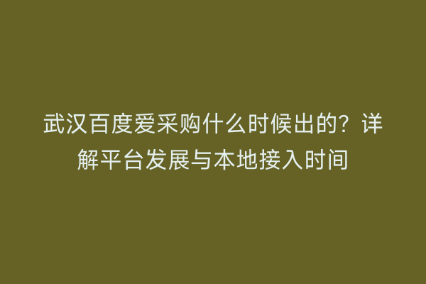 武汉百度爱采购什么时候出的？详解平台发展与本地接入时间