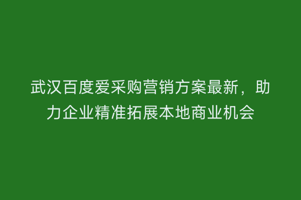 武汉百度爱采购营销方案最新，助力企业精准拓展本地商业机会