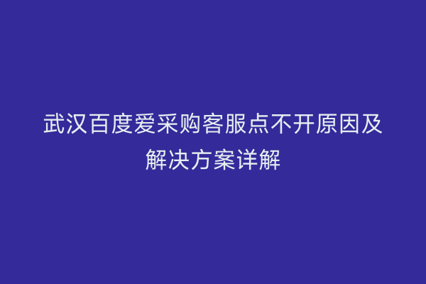 武汉百度爱采购客服点不开原因及解决方案详解