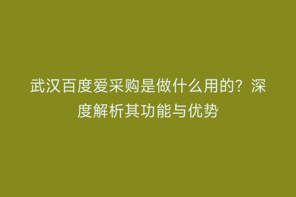 武汉百度爱采购是做什么用的？深度解析其功能与优势