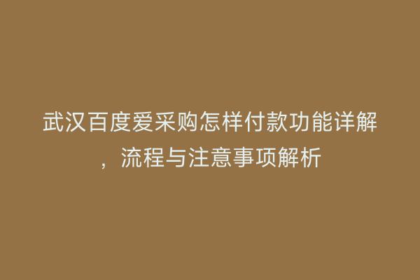 武汉百度爱采购怎样付款功能详解，流程与注意事项解析