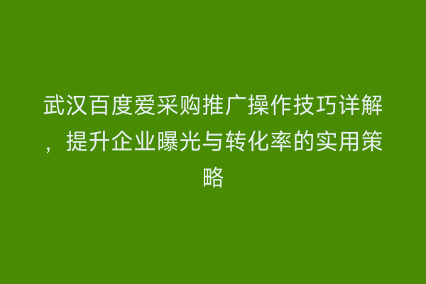 武汉百度爱采购推广操作技巧详解，提升企业曝光与转化率的实用策略