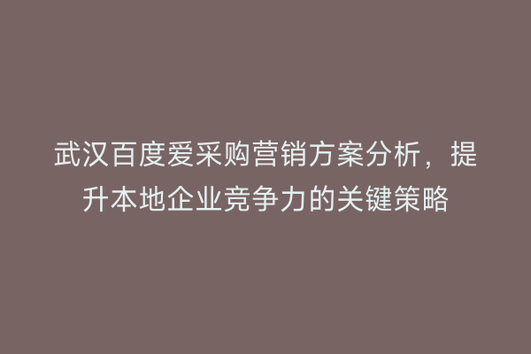 武汉百度爱采购营销方案分析，提升本地企业竞争力的关键策略
