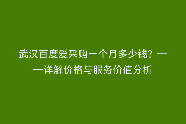 武汉百度爱采购一个月多少钱？——详解价格与服务价值分析