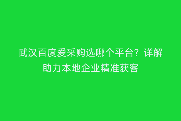武汉百度爱采购选哪个平台？详解助力本地企业精准获客