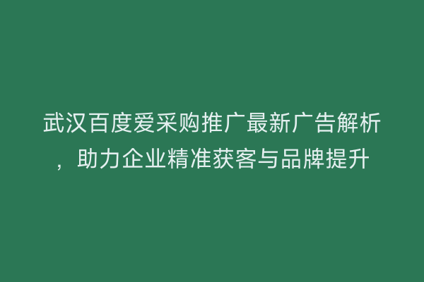 武汉百度爱采购推广最新广告解析，助力企业精准获客与品牌提升