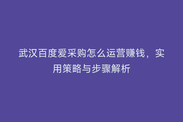 武汉百度爱采购怎么运营赚钱，实用策略与步骤解析