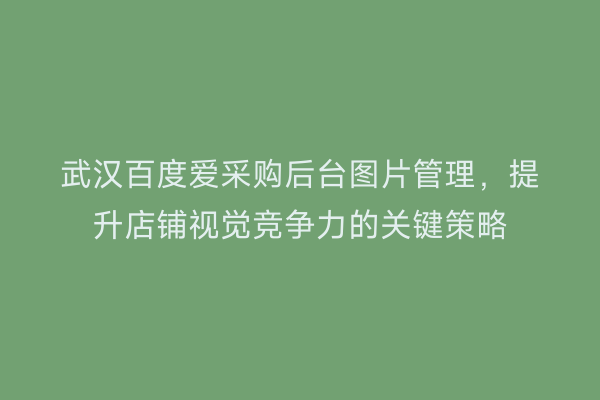 武汉百度爱采购后台图片管理，提升店铺视觉竞争力的关键策略