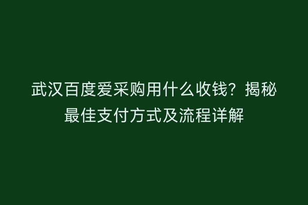 武汉百度爱采购用什么收钱？揭秘最佳支付方式及流程详解