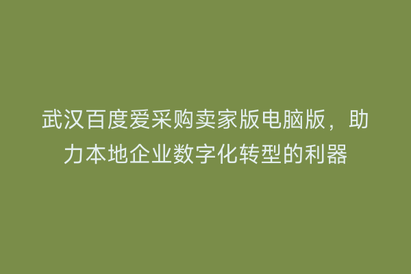 武汉百度爱采购卖家版电脑版，助力本地企业数字化转型的利器