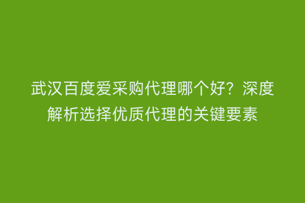 武汉百度爱采购代理哪个好？深度解析选择优质代理的关键要素