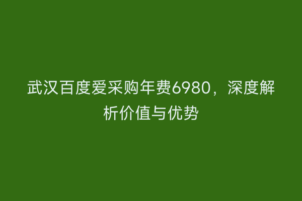 武汉百度爱采购年费6980，深度解析价值与优势