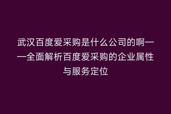 武汉百度爱采购是什么公司的啊——全面解析百度爱采购的企业属性与服务定位