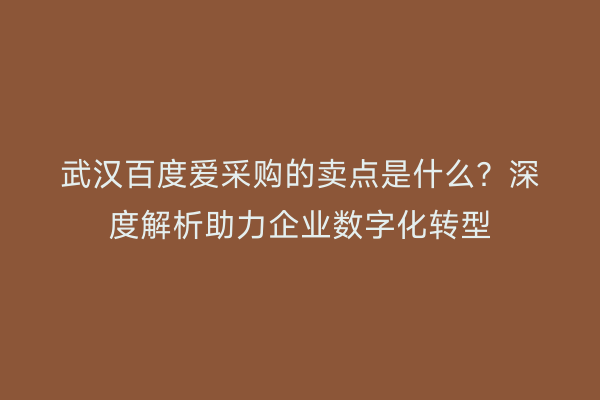 武汉百度爱采购的卖点是什么？深度解析助力企业数字化转型